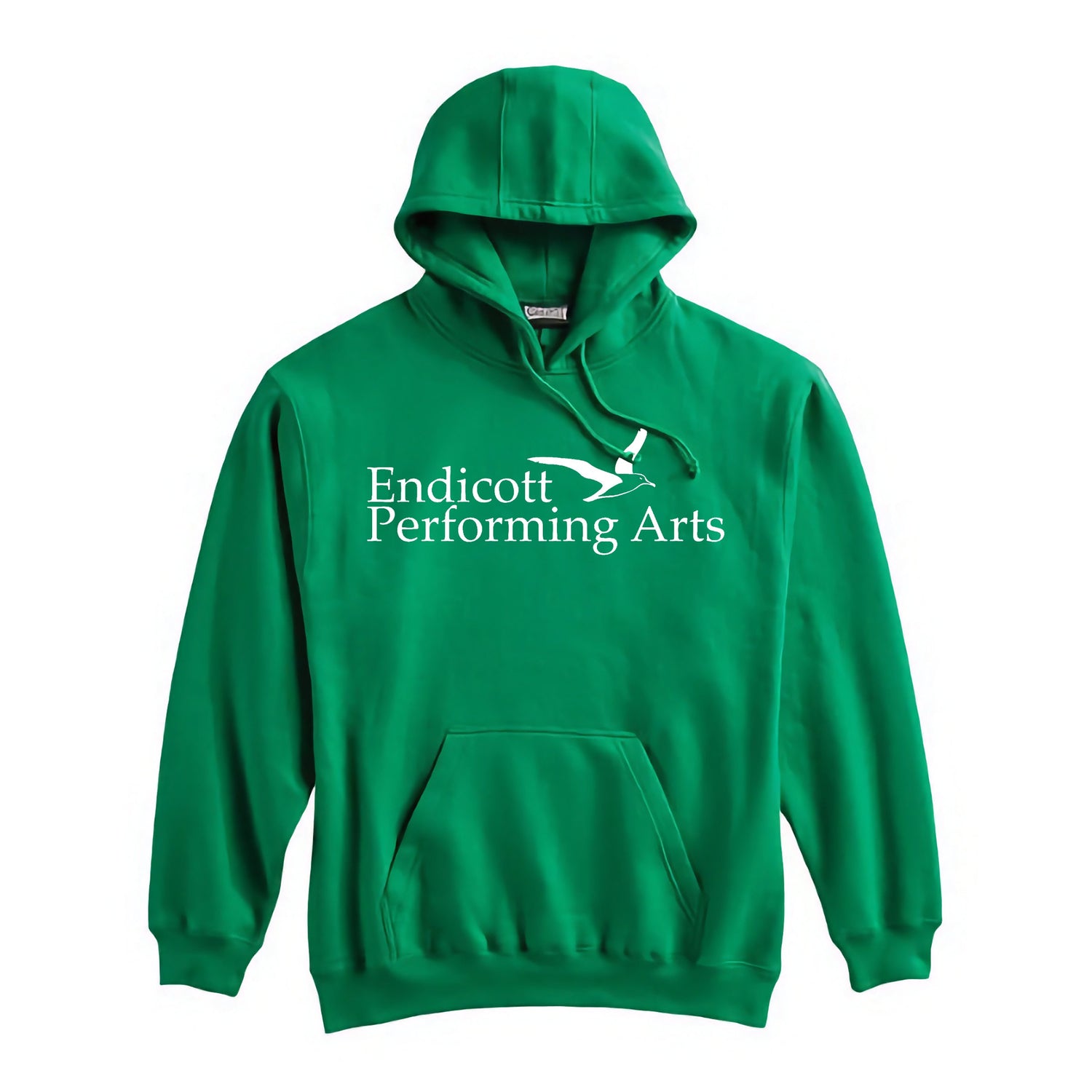 Endicott Performing Arts Premium Hoodie